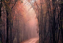 股票推荐交流群:手机股票交易软件排名-华尔街最乐观预测！Evercore ISI：AI热潮将推动美股明年再涨20%